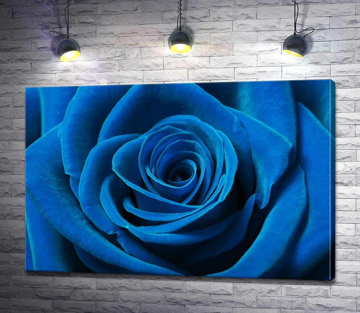 картина Синий бархат лепестков розы