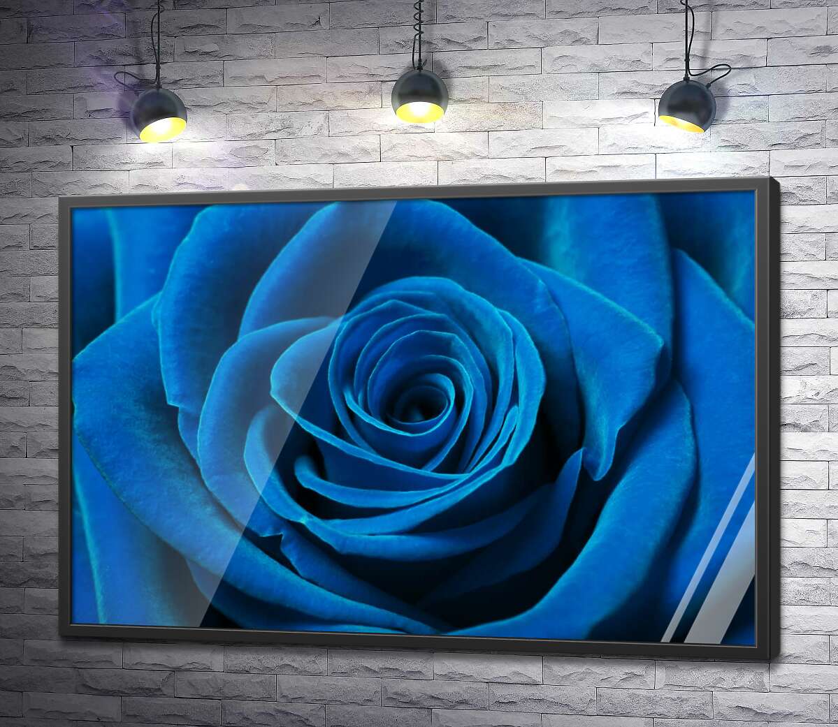 постер Синій оксамит пелюсток троянди