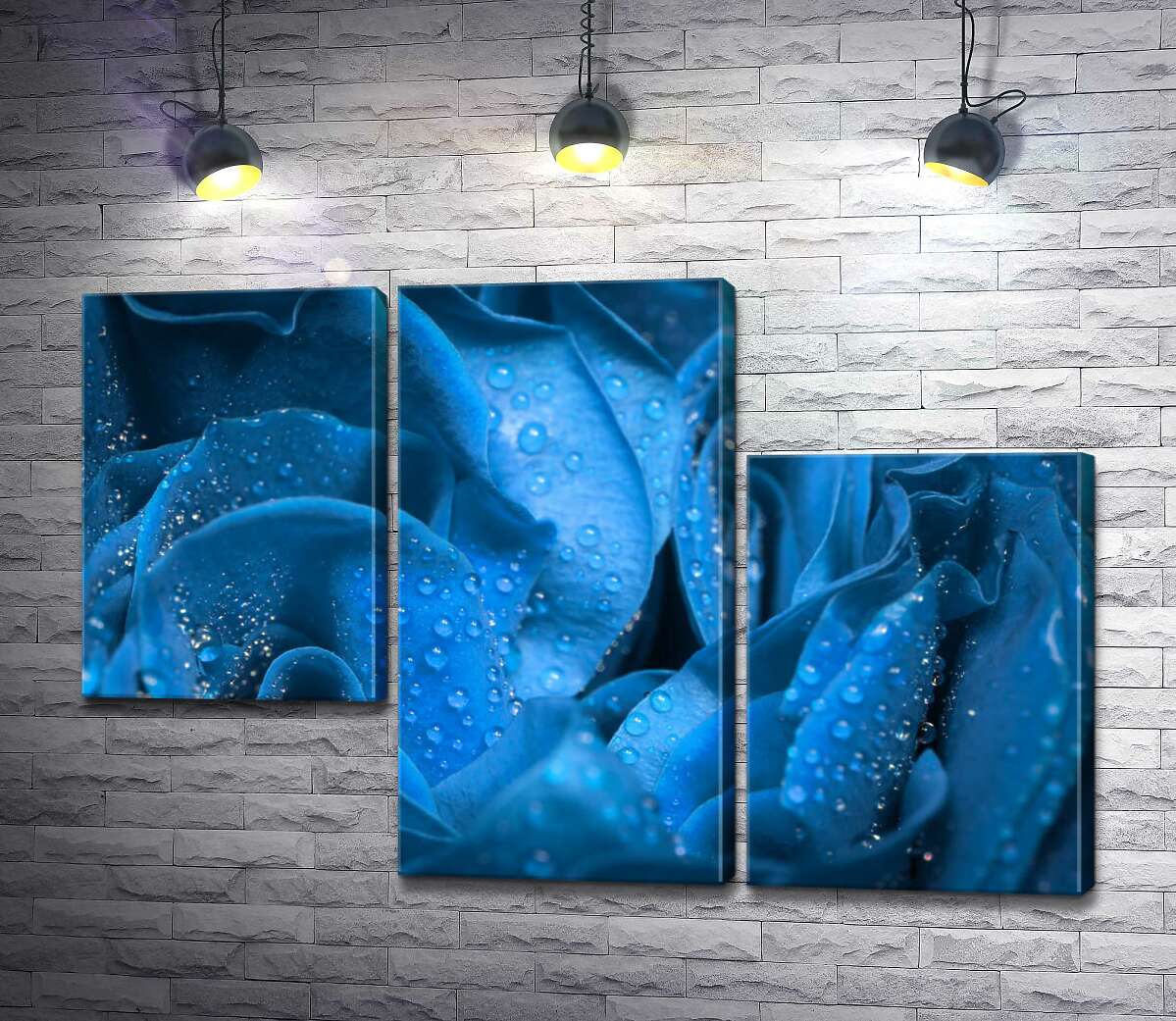модульная картина Прозрачная роса освежает синие лепестки розы (Модуль №13)