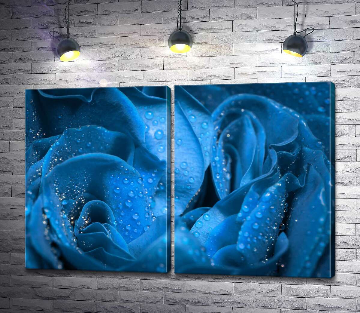 модульная картина Прозрачная роса освежает синие лепестки розы