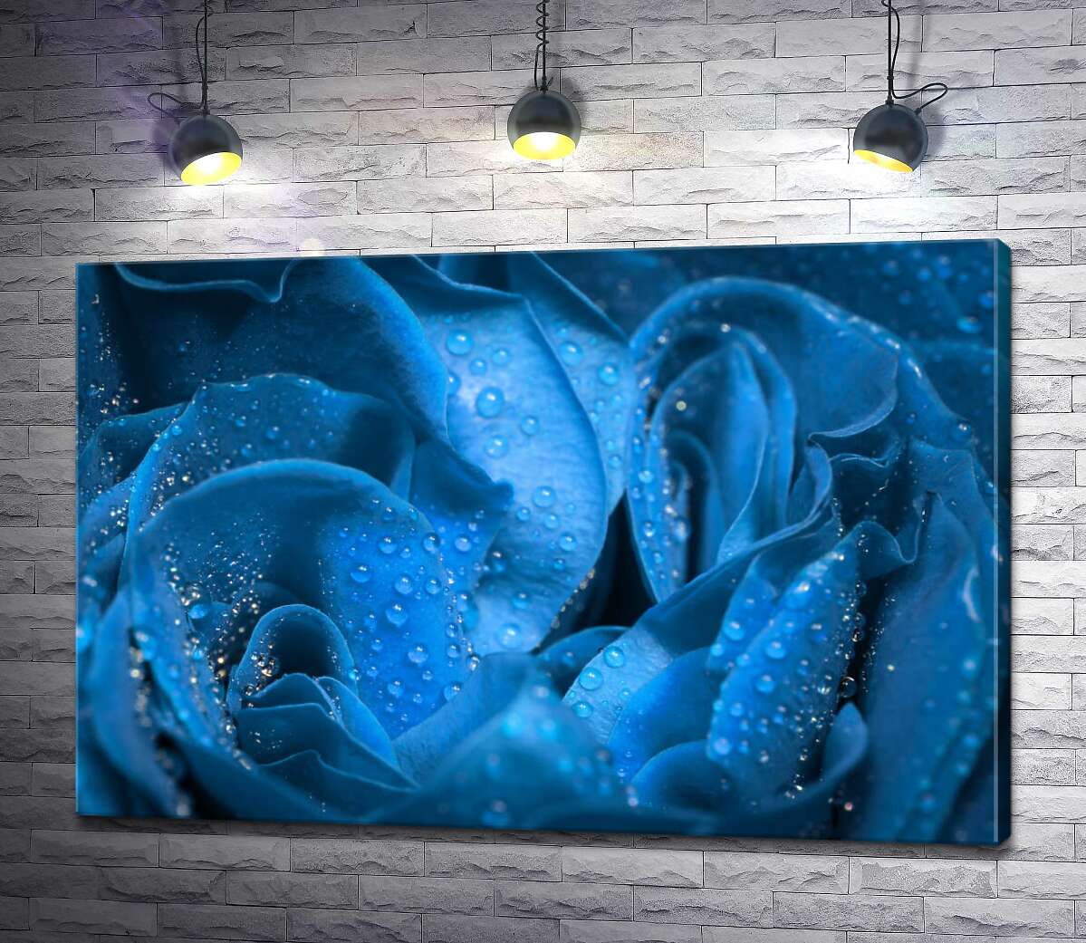 картина Прозрачная роса освежает синие лепестки розы