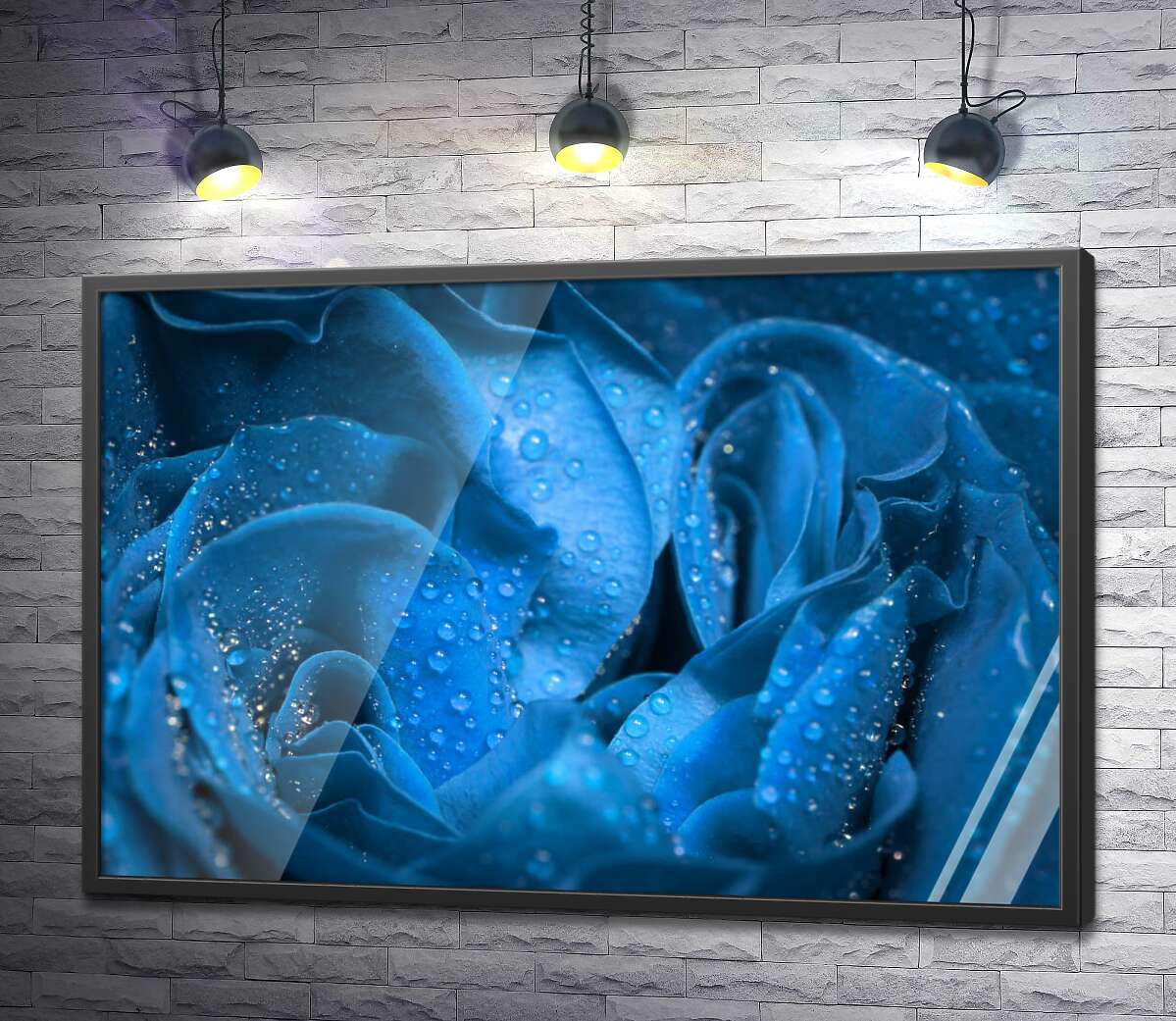 постер Прозора роса освіжає сині пелюстки троянди