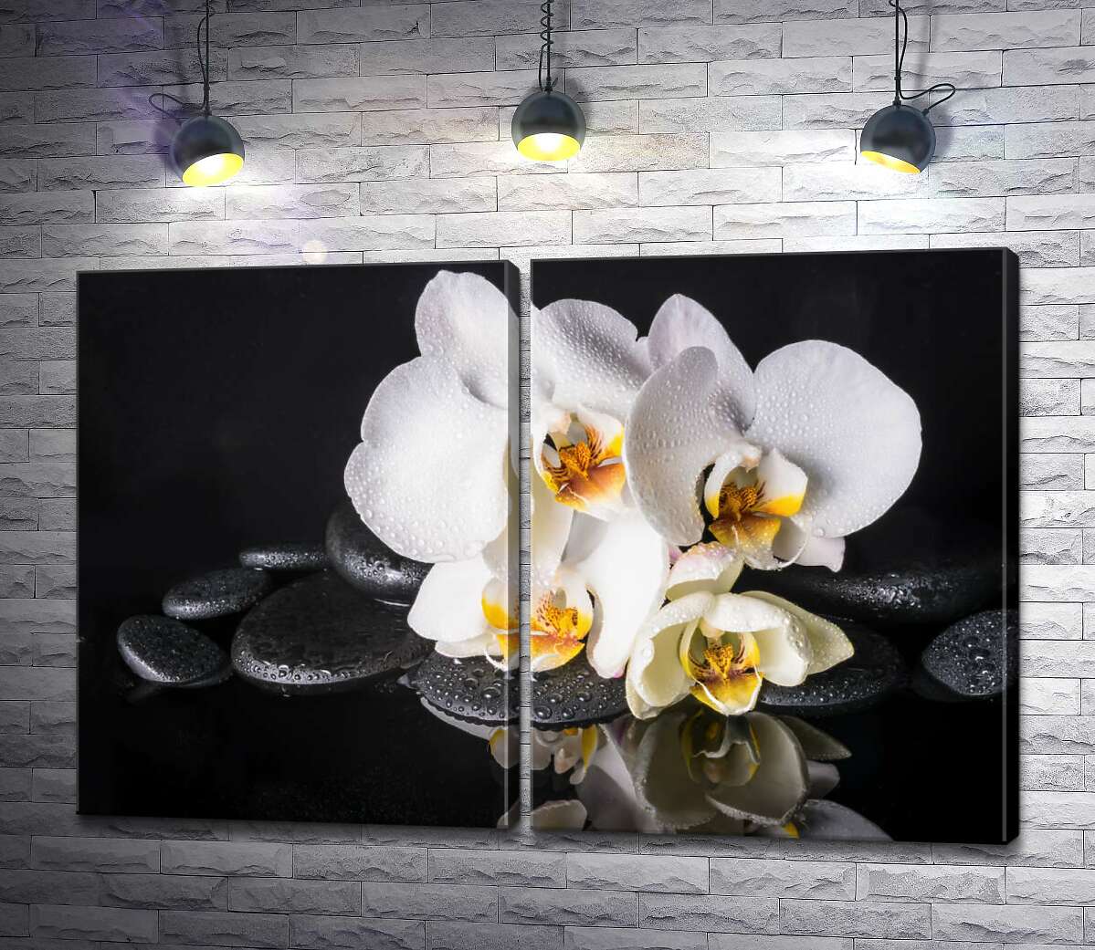 модульная картина Роскошь белой орхидеи с каплями росы