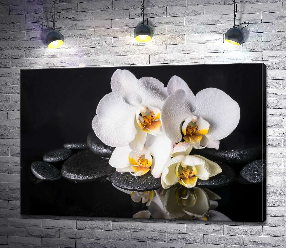 картина Роскошь белой орхидеи с каплями росы