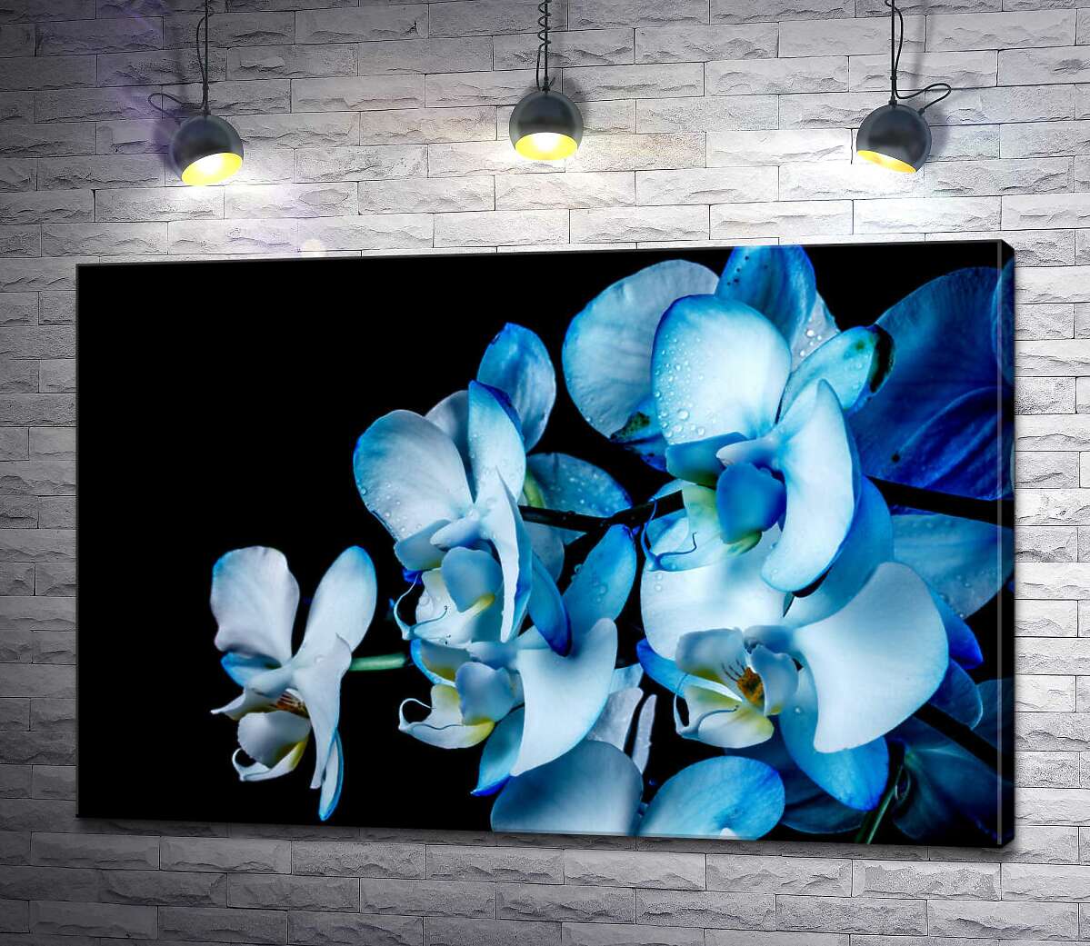 картина Голубой градиент на лепестках орхидей
