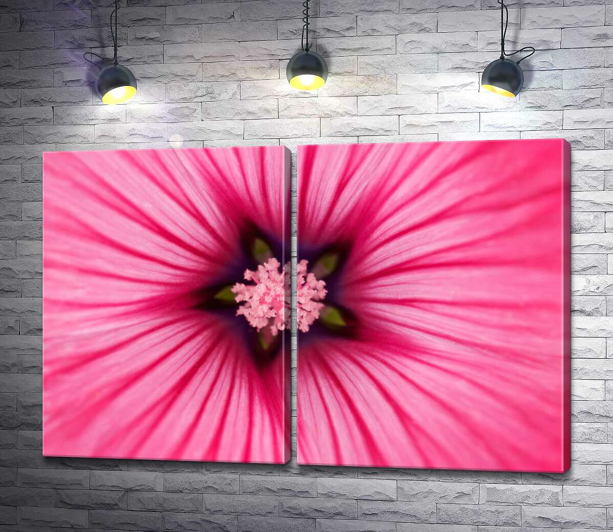 модульная картина Звездочка-серединка розового цветка лаватеры