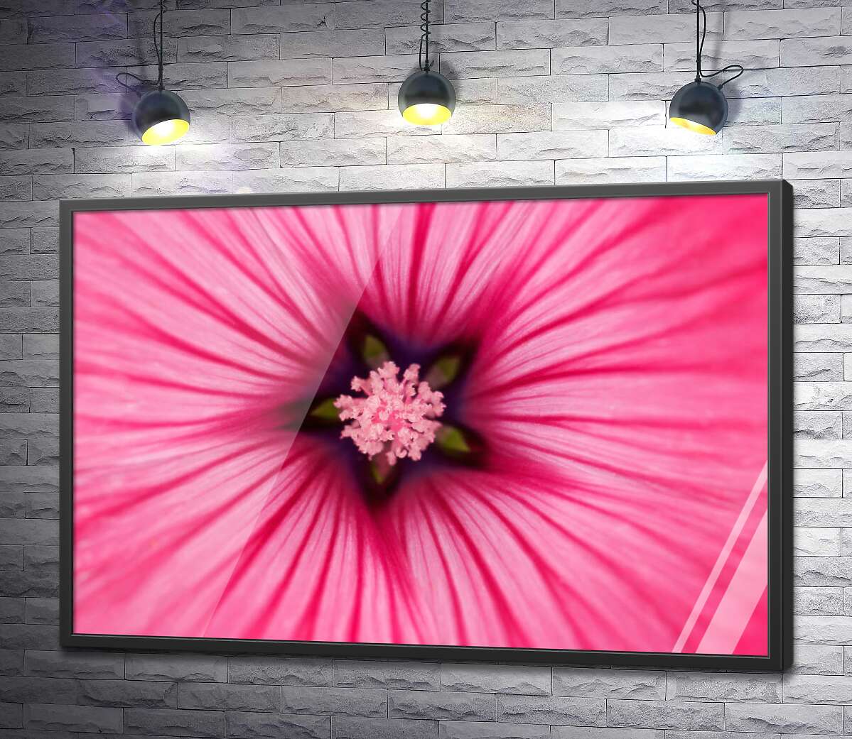 постер Звездочка-серединка розового цветка лаватеры