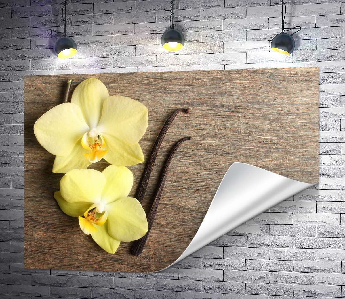печать Желтые орхидеи среди стручков ванили