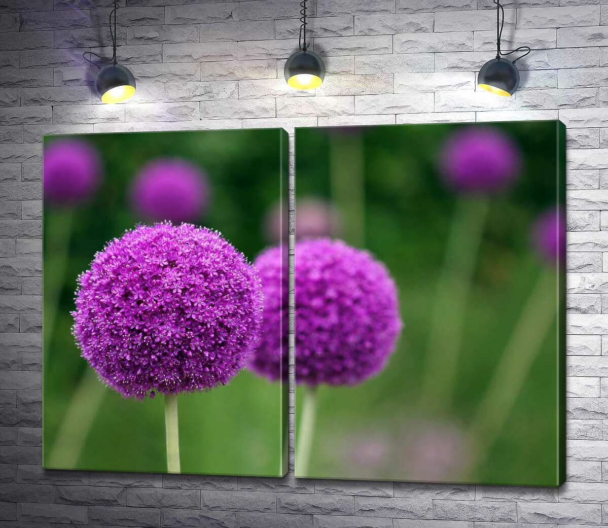 модульная картина Фиолетовые шарики соцветия декоративного лука