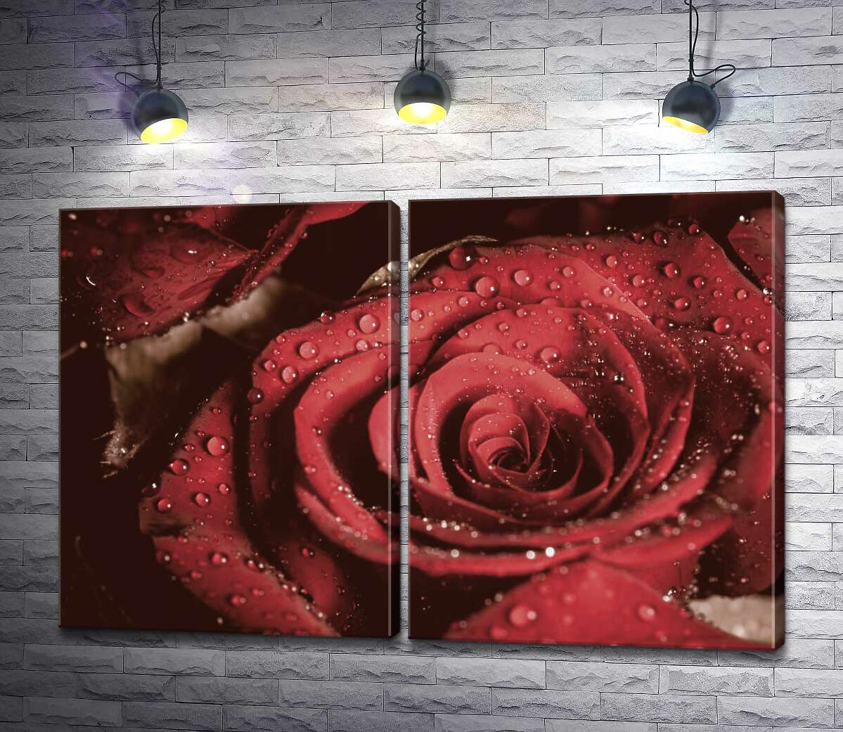 модульна картина Роса лежить на розкішних пелюстках червоної троянди