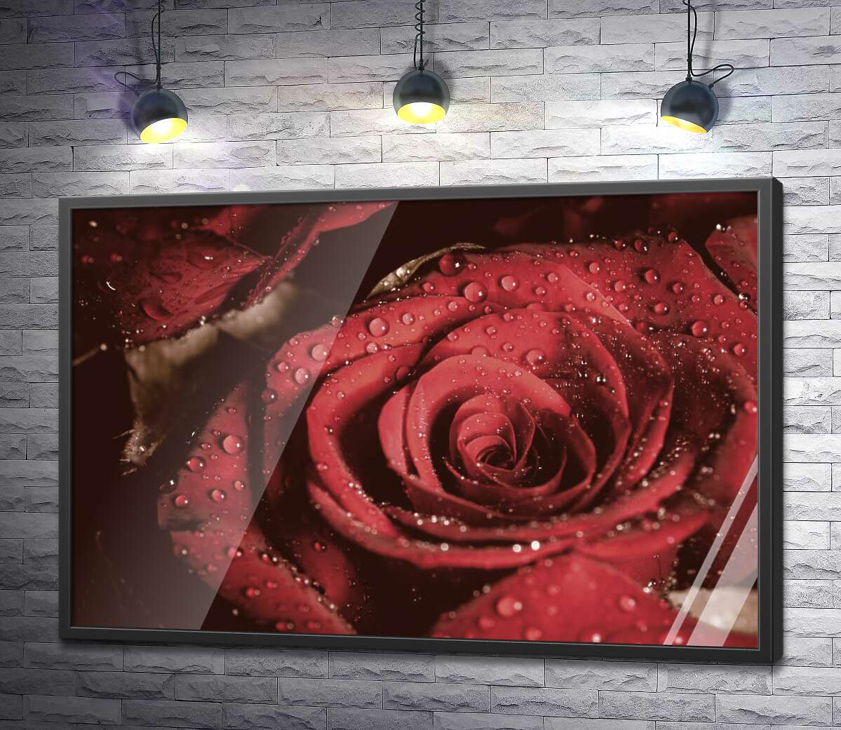 постер Роса лежить на розкішних пелюстках червоної троянди