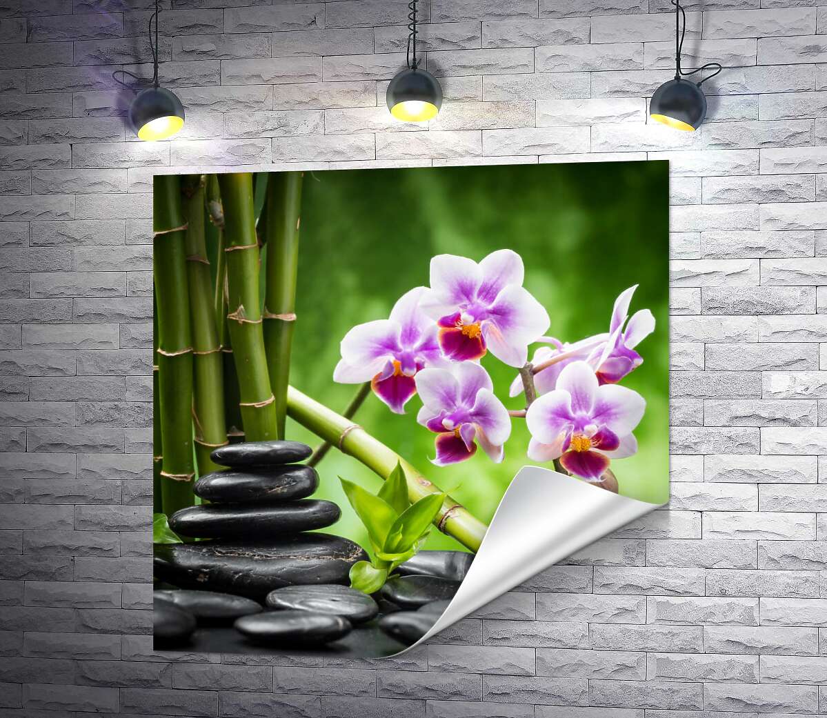 печать Успокоение природой: черные камни рядом с орхидеей и бамбуком