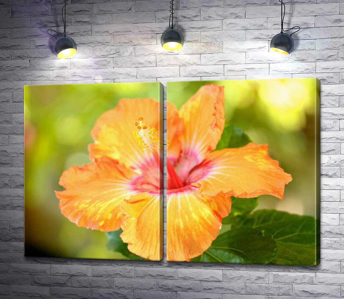 модульна картина Яскрава квітка помаранчевого гібіска