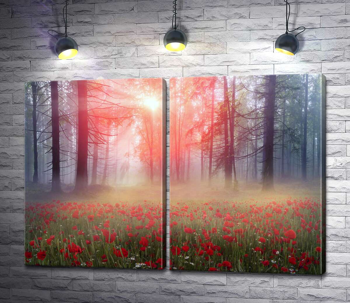 модульна картина Світло пробивається на галявину туманного лісу, вкриту червоними маками