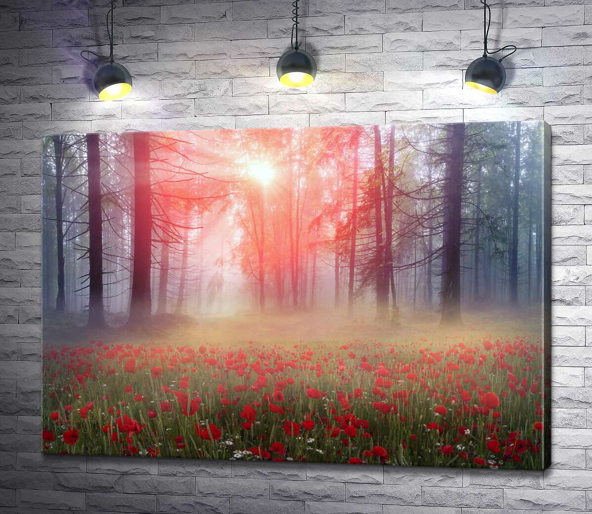 картина Свет пробивается на лужайку туманного леса, покрытую красными маками