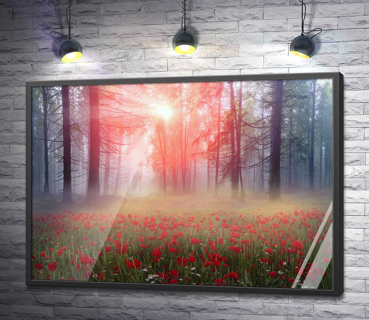постер Світло пробивається на галявину туманного лісу, вкриту червоними маками