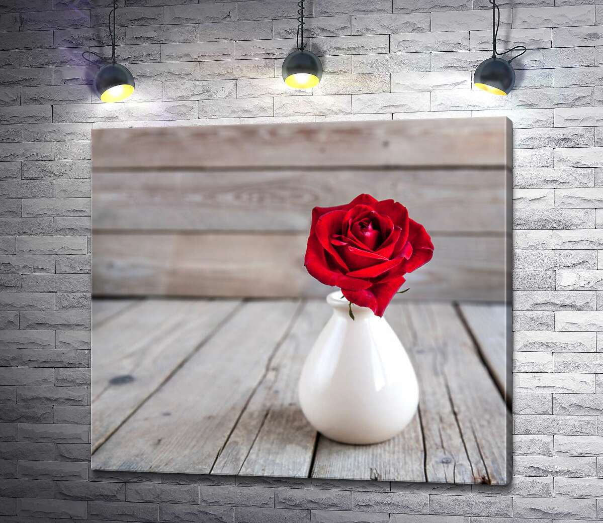 картина Маленька червона троянда у гладенькій білій вазі