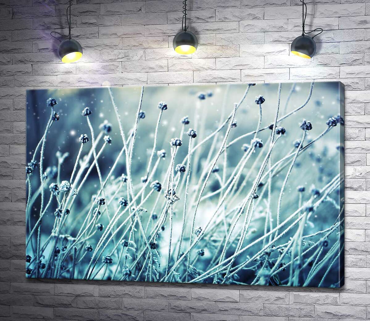картина Тонкие стебельки полевой травы на рассвете