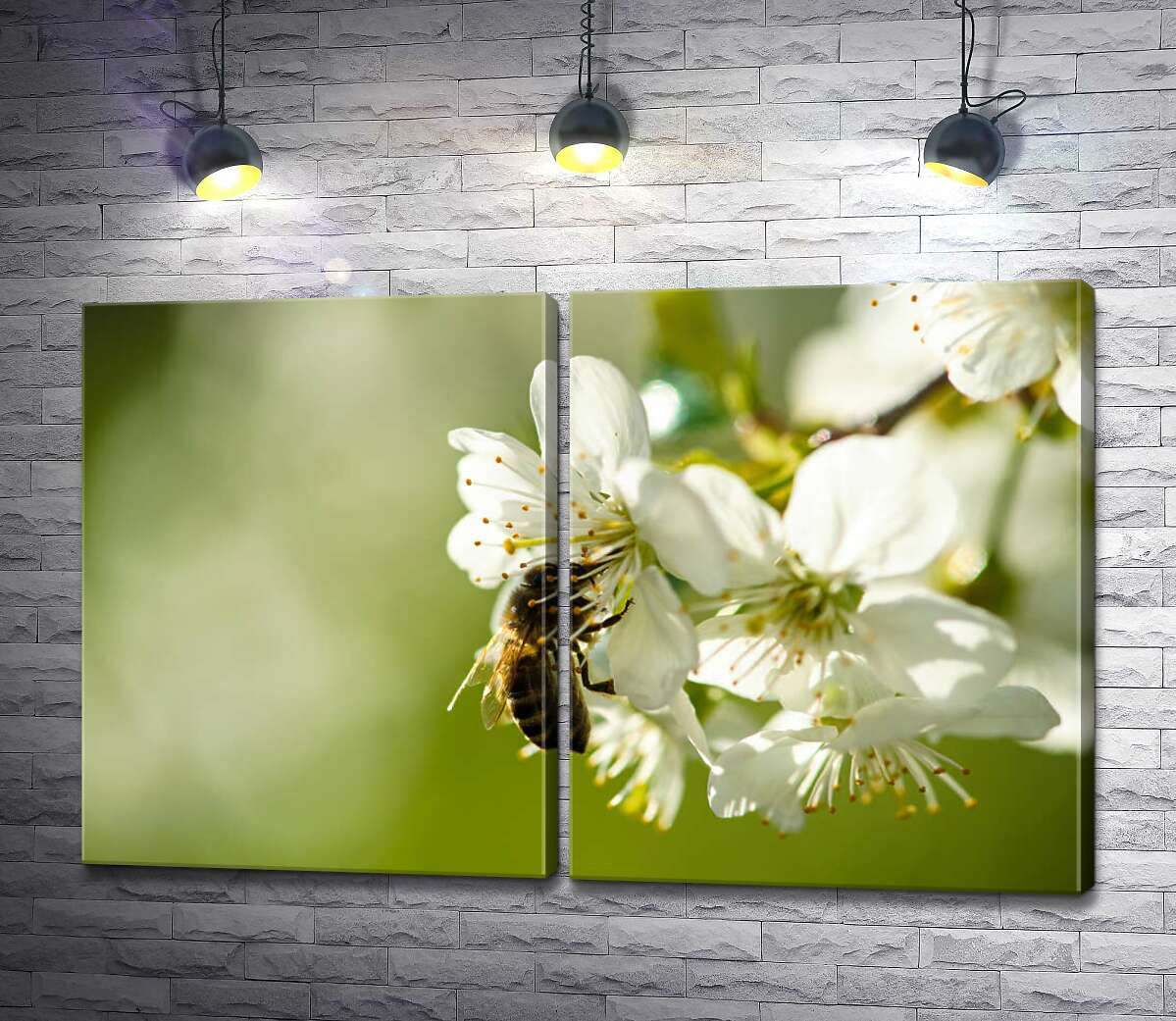 модульная картина Маленькая пчела собирает пыльцу на белом цветке яблони