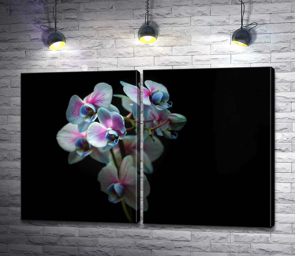 модульная картина Голубые серединки розовых орхидей