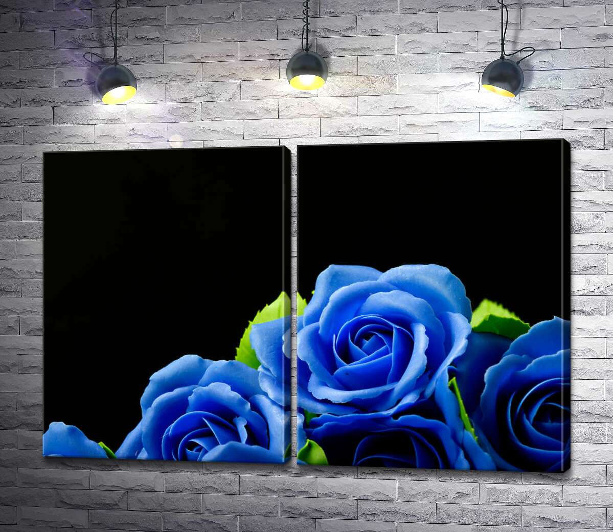 модульна картина Пишні сині троянди на чорному фоні