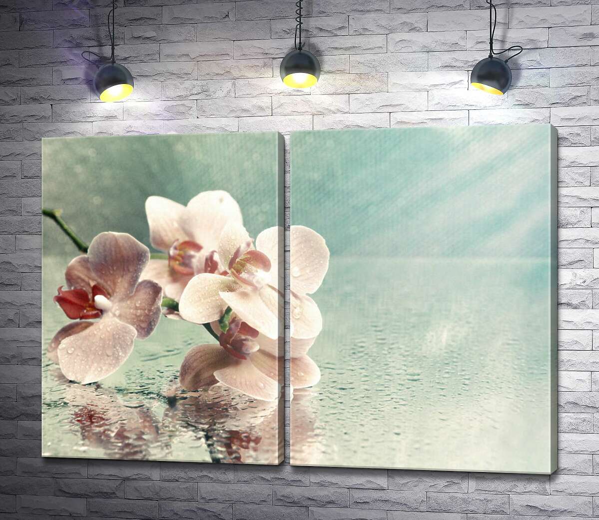 модульная картина Розовая ветка орхидеи лежит на зеркале