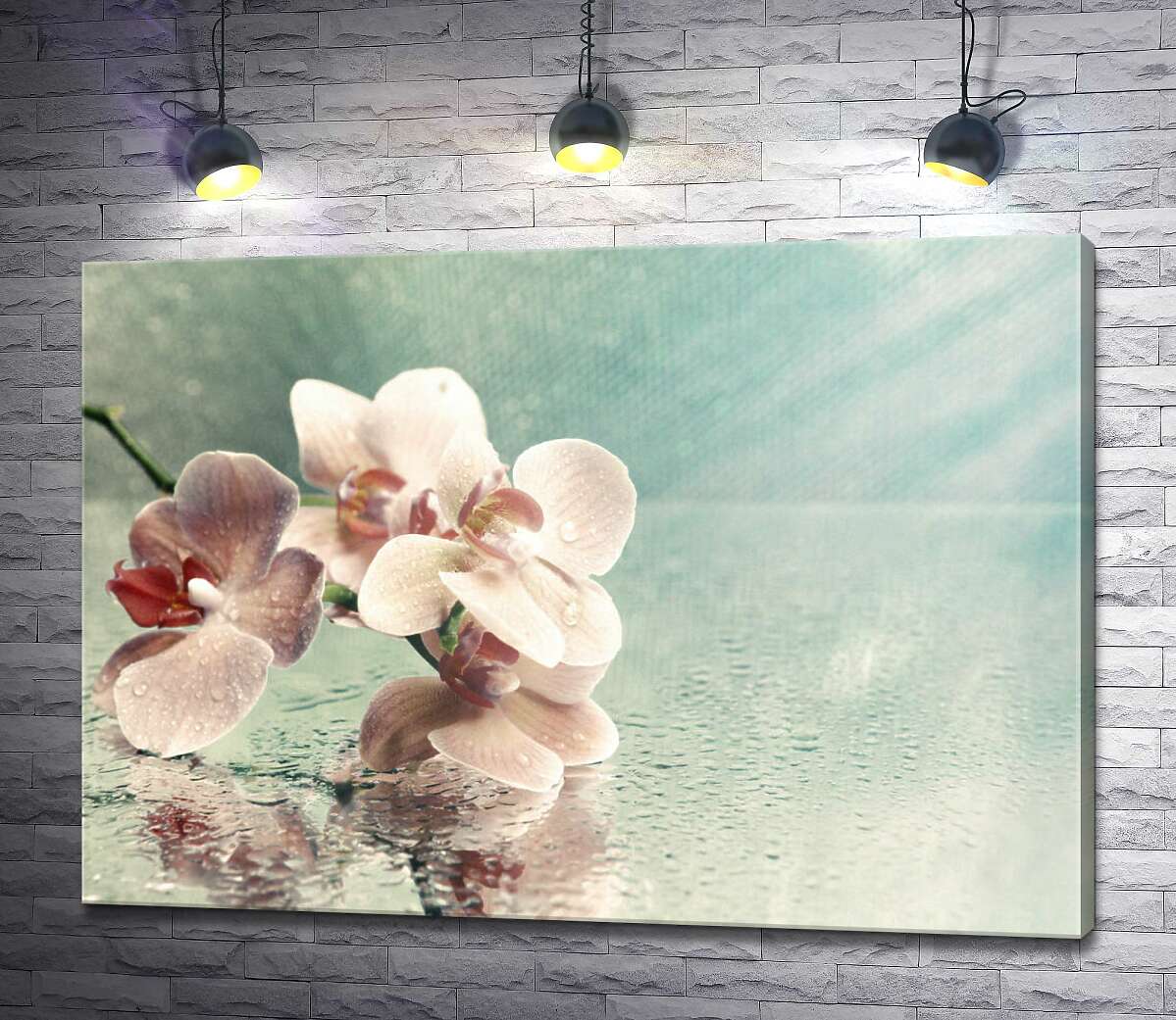 картина Розовая ветка орхидеи лежит на зеркале