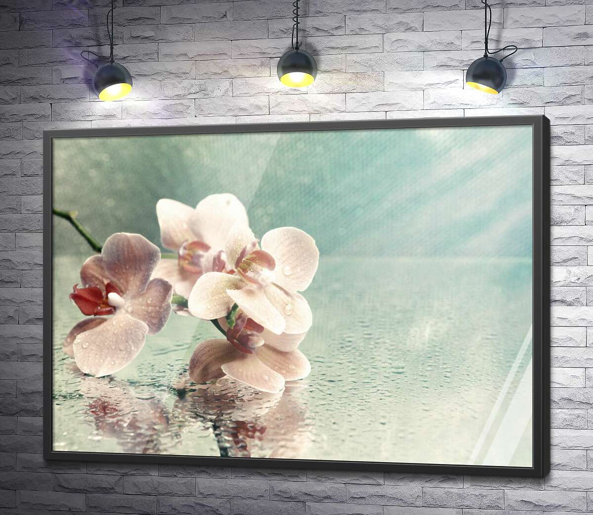 постер Розовая ветка орхидеи лежит на зеркале