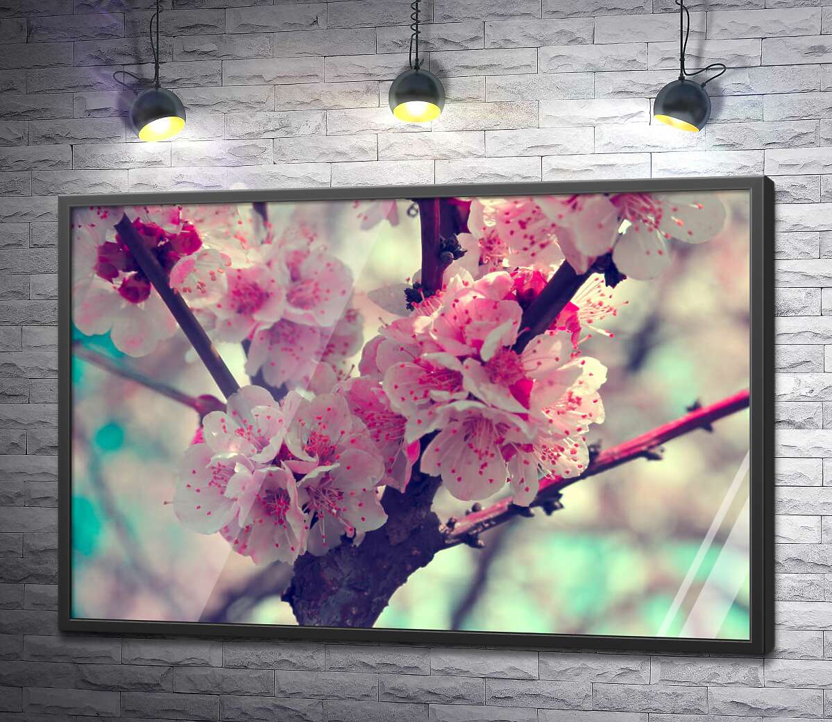 постер Весенняя веточка цветущего абрикоса