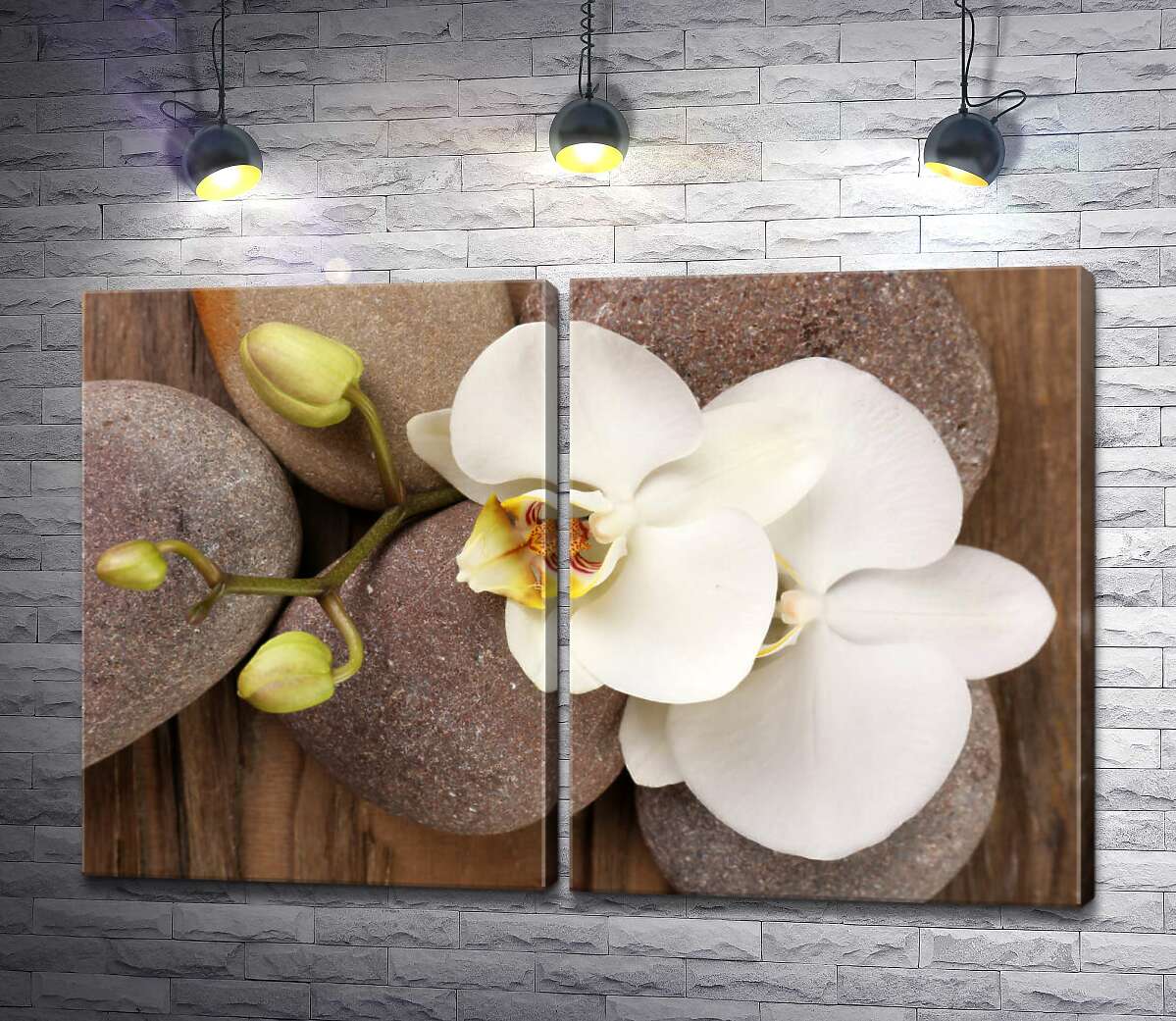 модульная картина Изящная ветвь орхидеи лежит на гладких камнях