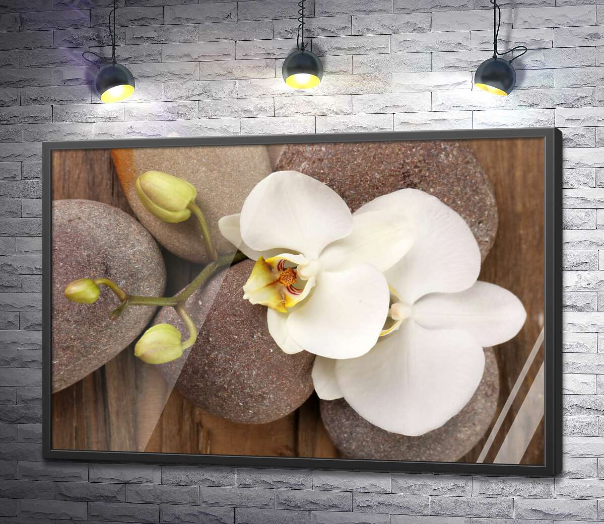постер Изящная ветвь орхидеи лежит на гладких камнях