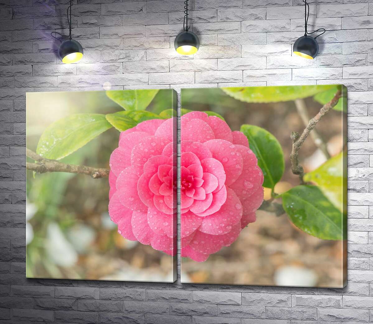 модульная картина Изысканный цветок розовой камелии после дождя