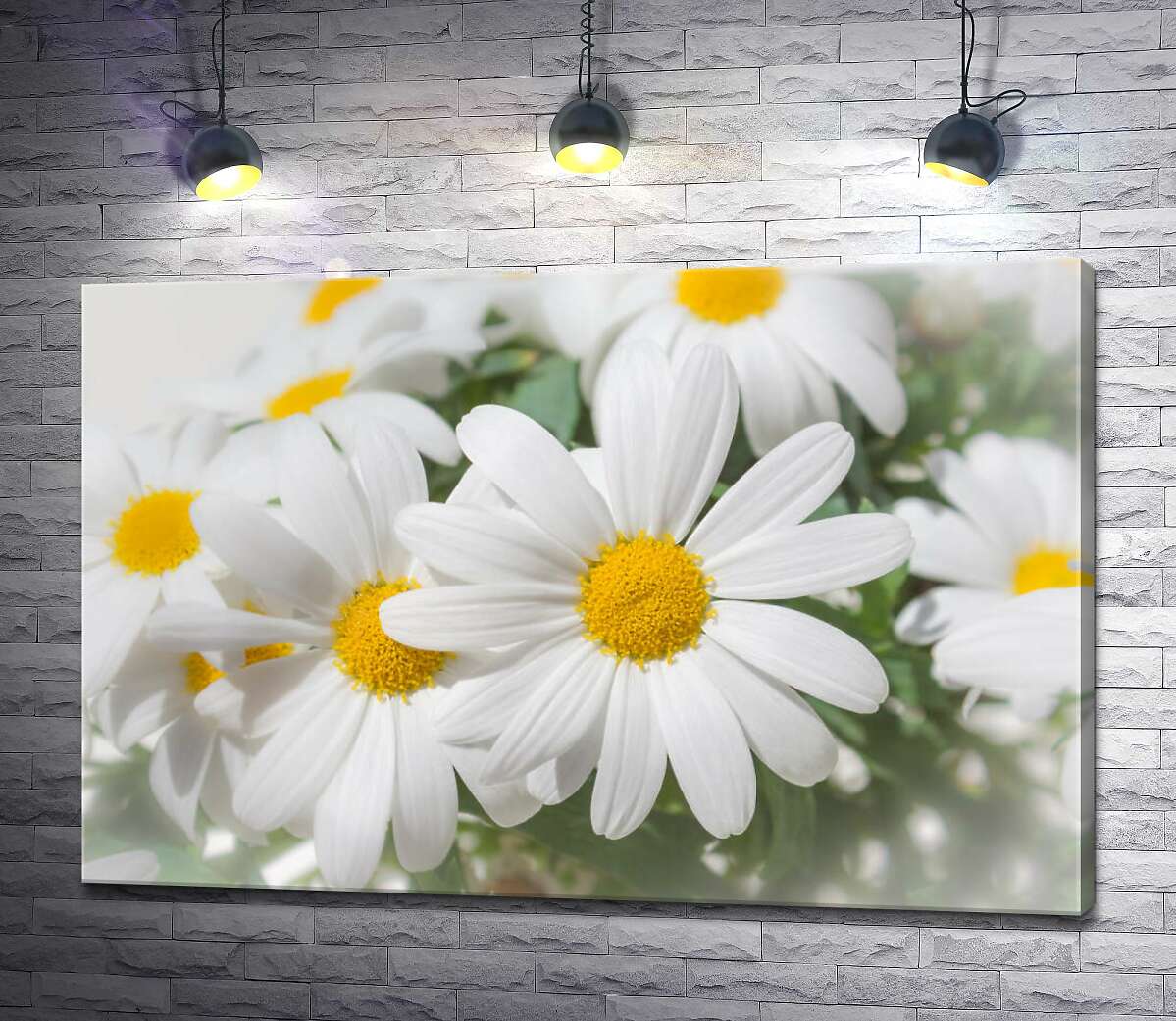 картина Букет білих хризантем з сонячними серединками