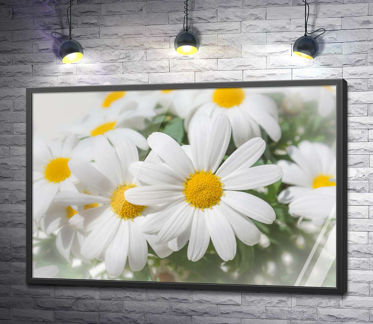постер Букет из белых хризантем с солнечными серединками