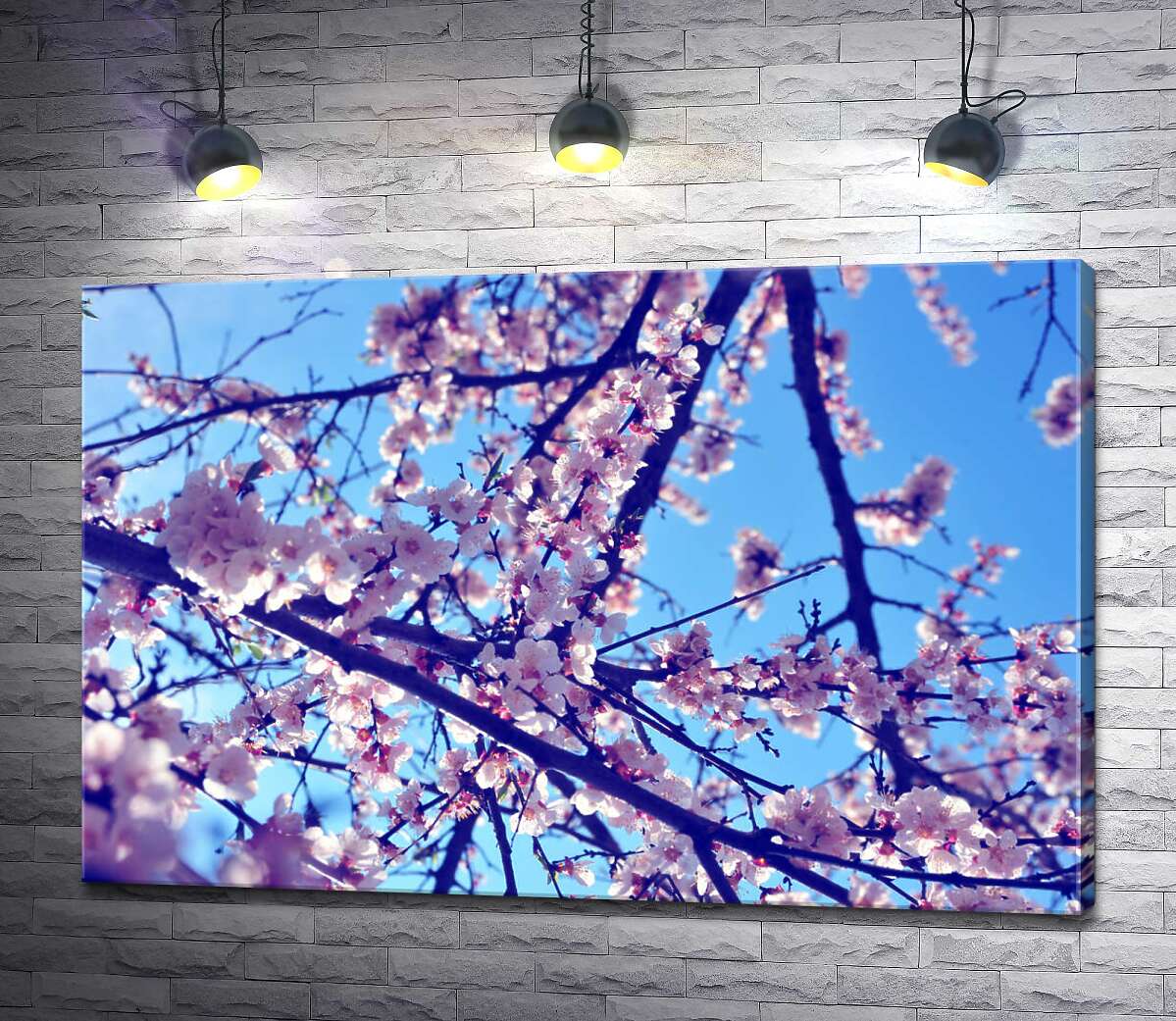 картина Пишний рожевий цвіт весняного дерева