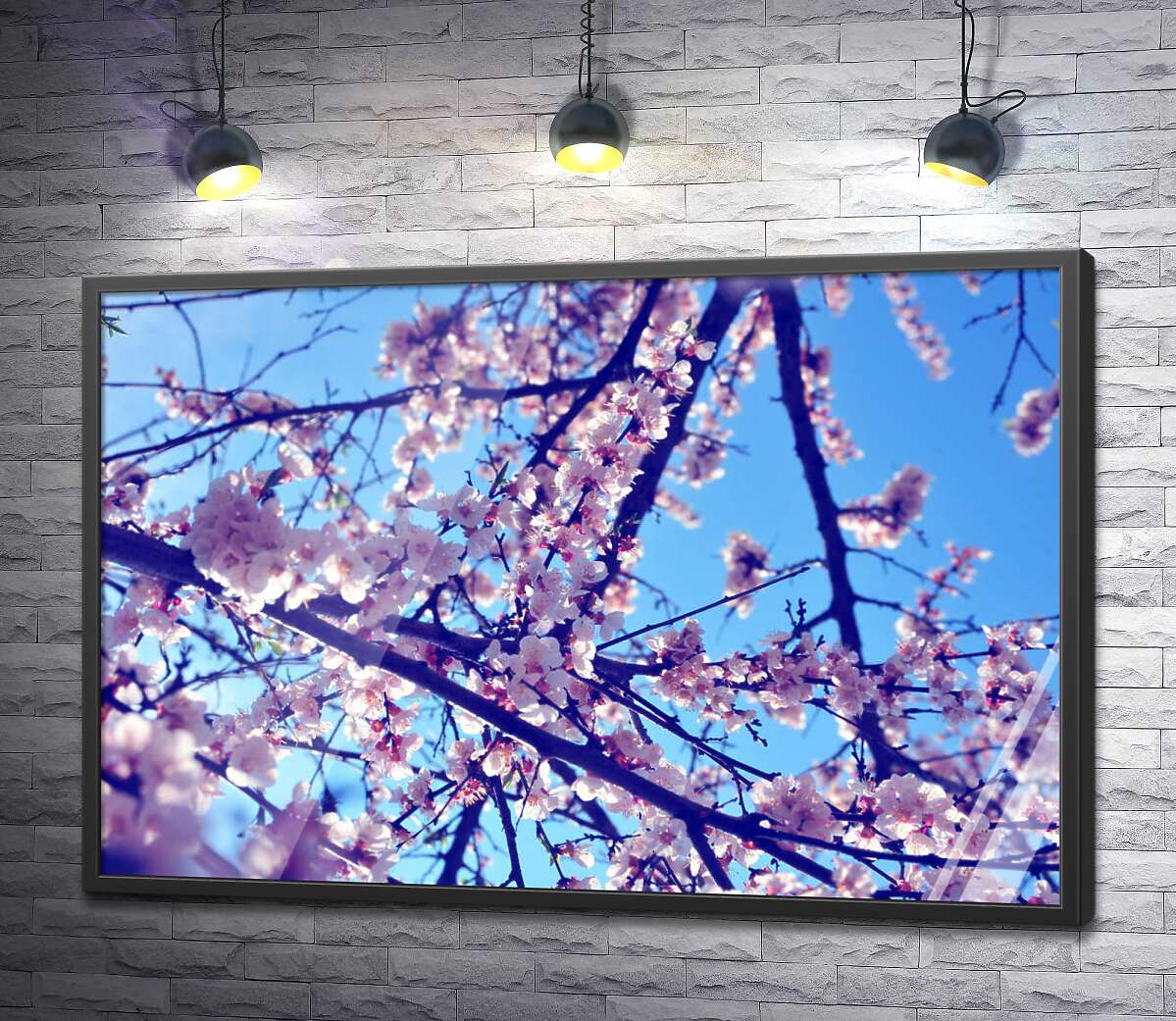 постер Пышное розовое цветение весеннего дерева