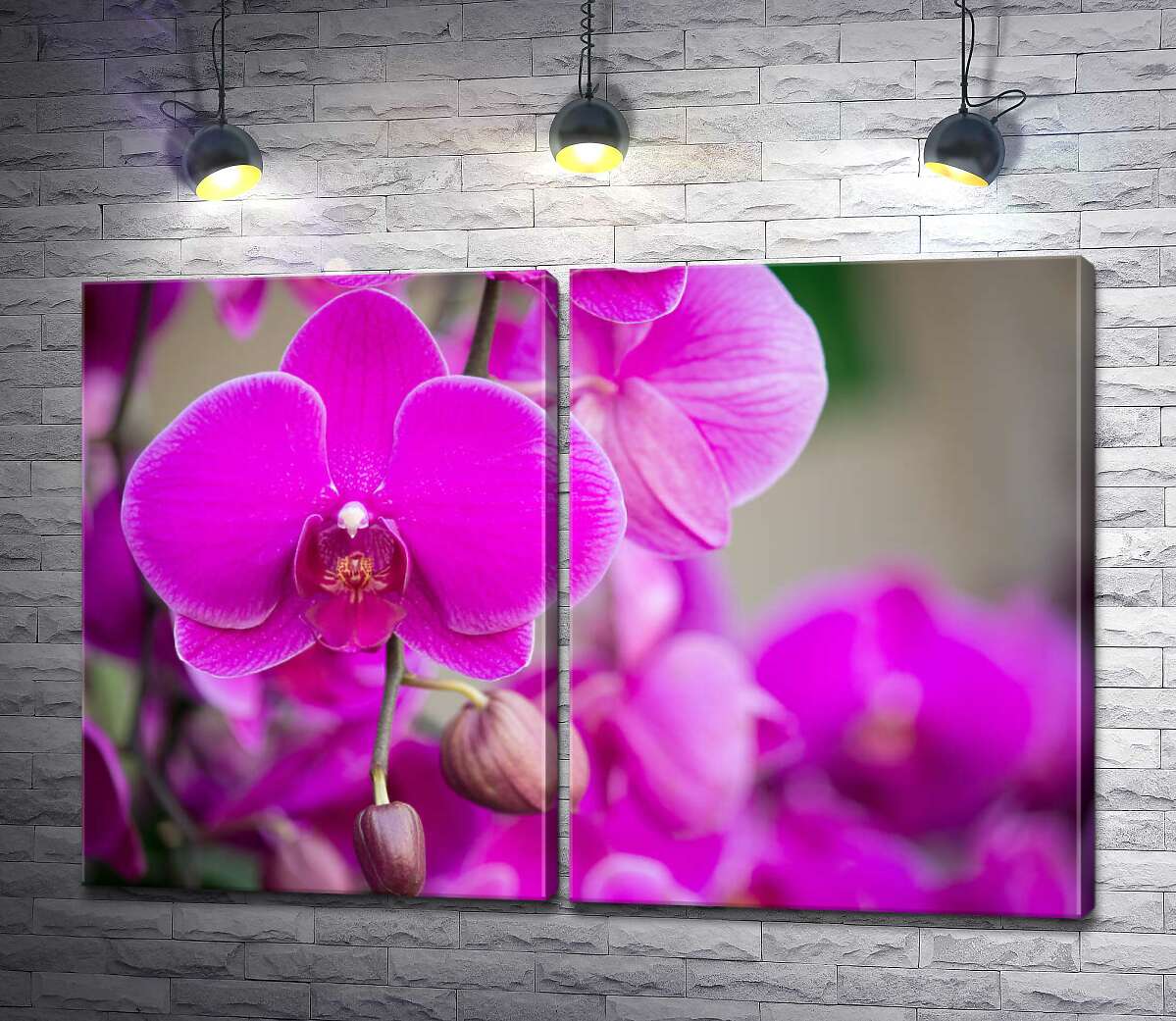 модульная картина Яркое цветение фиолетовых орхидей