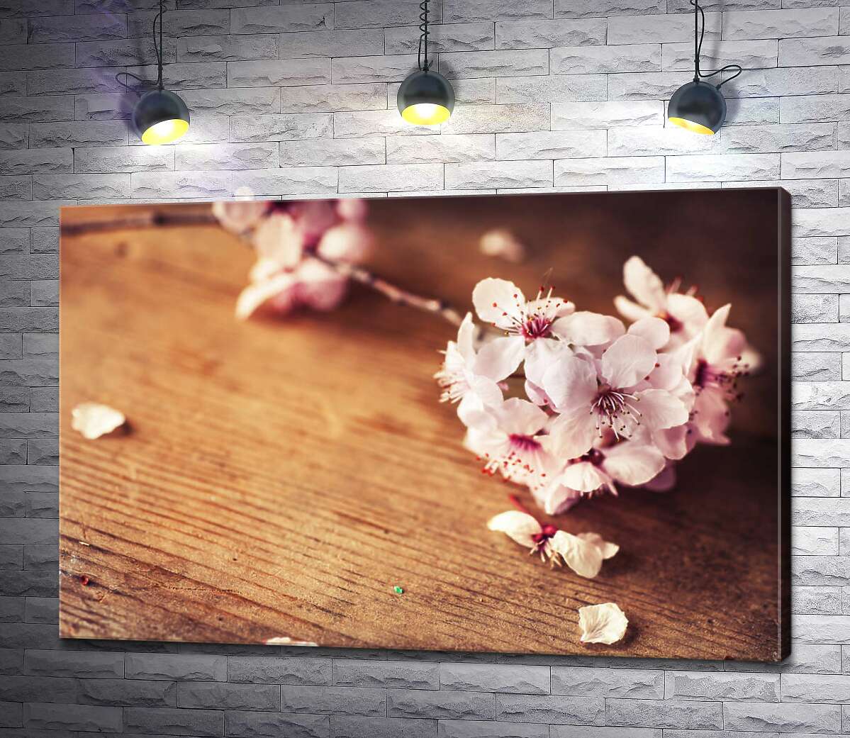 картина Цветущая веточка розовой сакуры лежит на столе