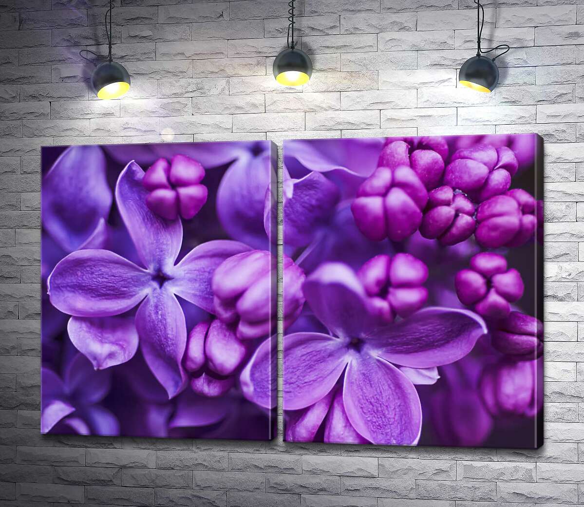 модульна картина Ніжні квіти фіолетового бузку повільно розкривають пелюстки