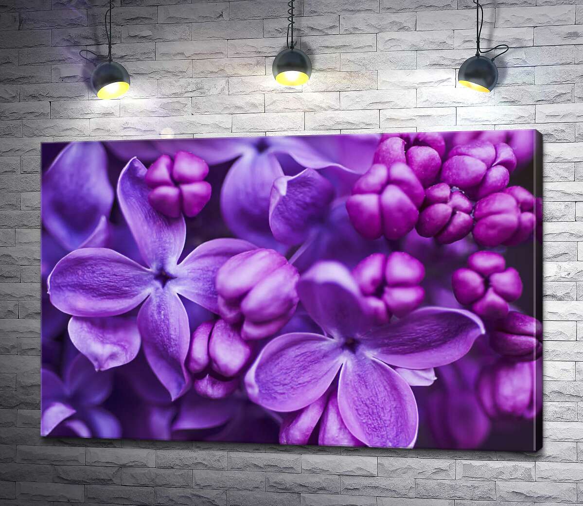 картина Ніжні квіти фіолетового бузку повільно розкривають пелюстки
