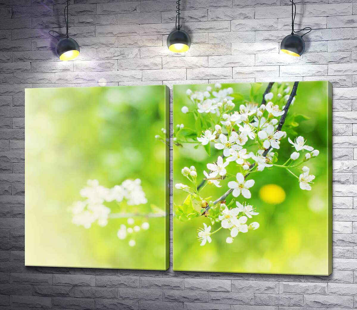 модульна картина Ніжно-білі квіти на дереві черемхи