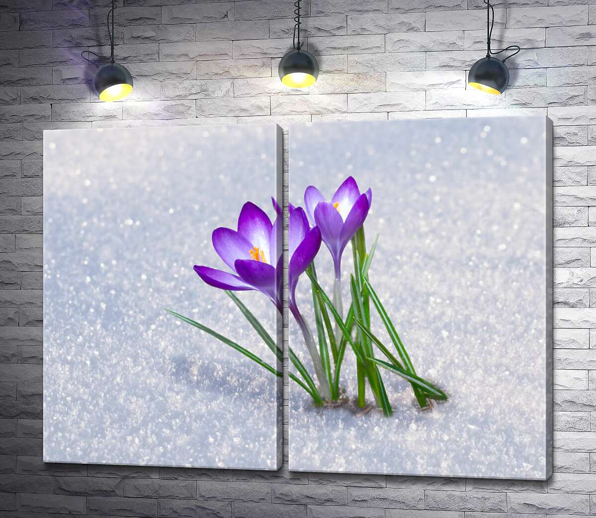 модульная картина Два цветка маленьких крокусов расцвели на снегу