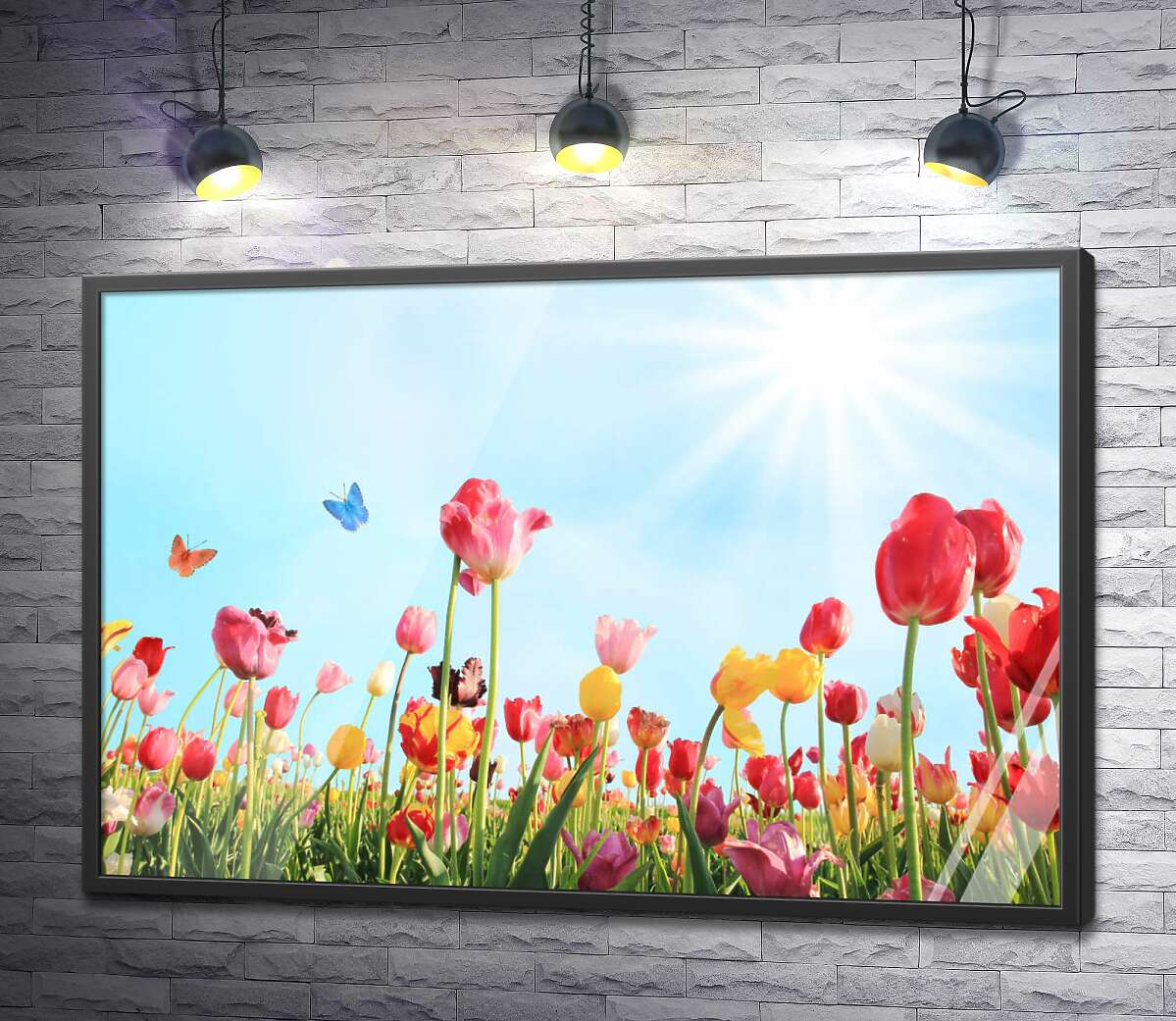 постер Метелики літають серед весняного поля тюльпанів