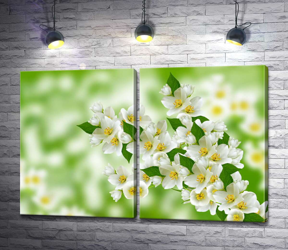 модульная картина Ветка ароматного цветения белого жасмина