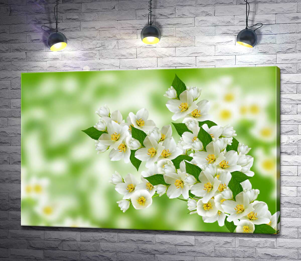 картина Ветка ароматного цветения белого жасмина