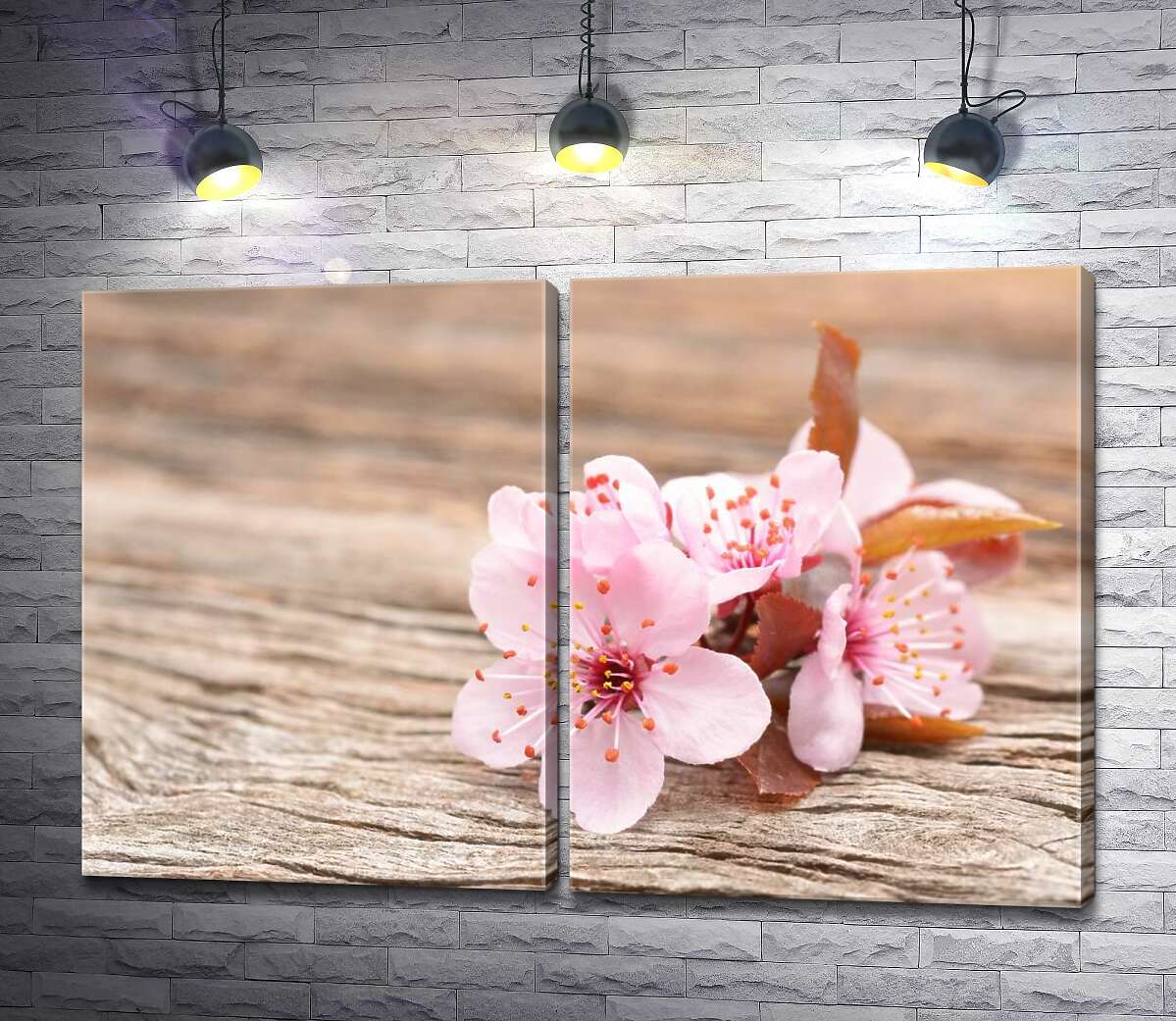 модульна картина Ніжні рожеві квіти з весняного дерева