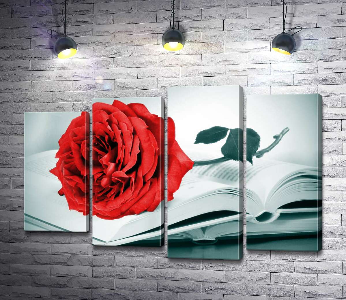 модульна картина Рубіново-червона троянда лежить на тонких сторінках книги (Модуль №3)