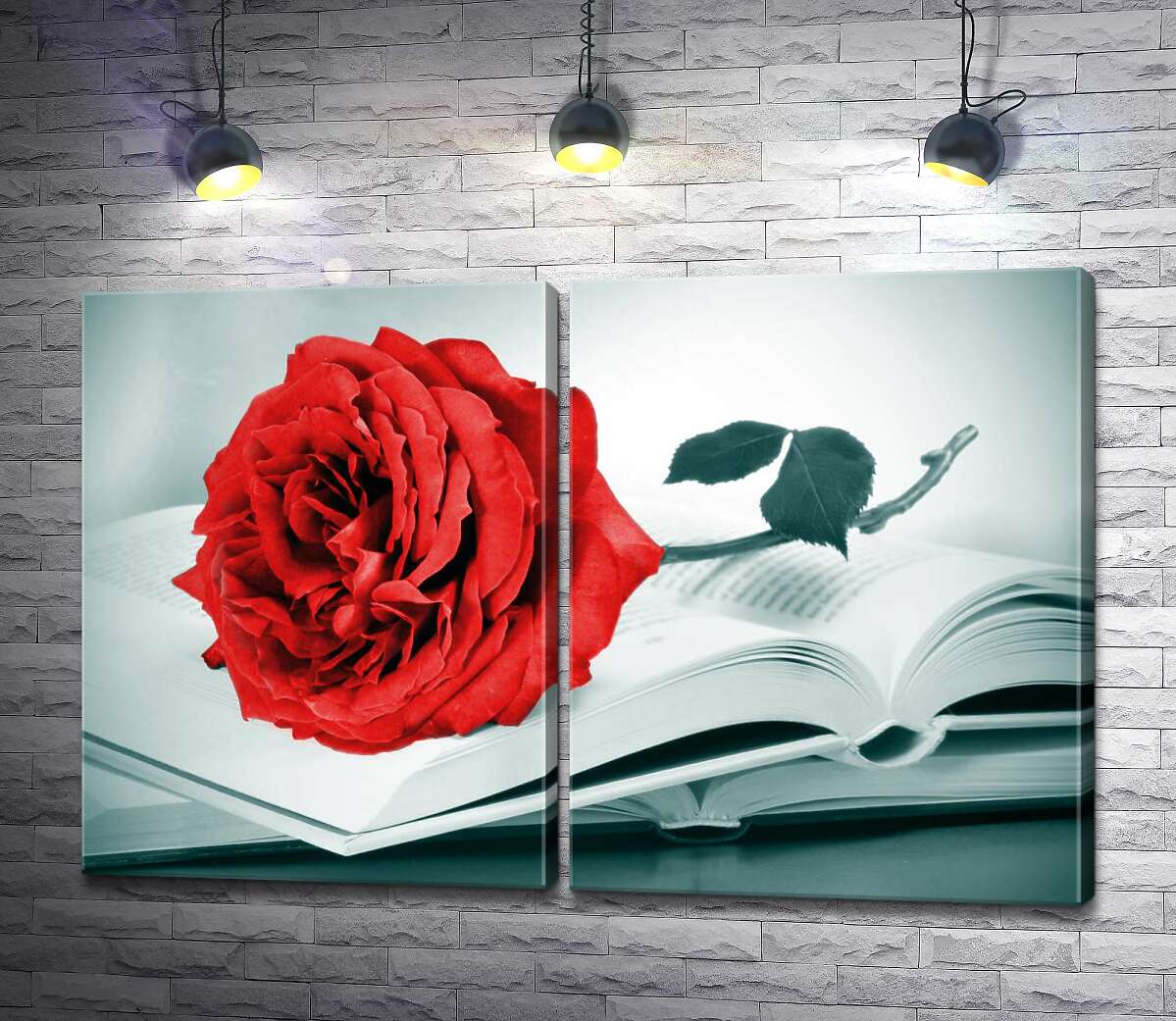 модульна картина Рубіново-червона троянда лежить на тонких сторінках книги