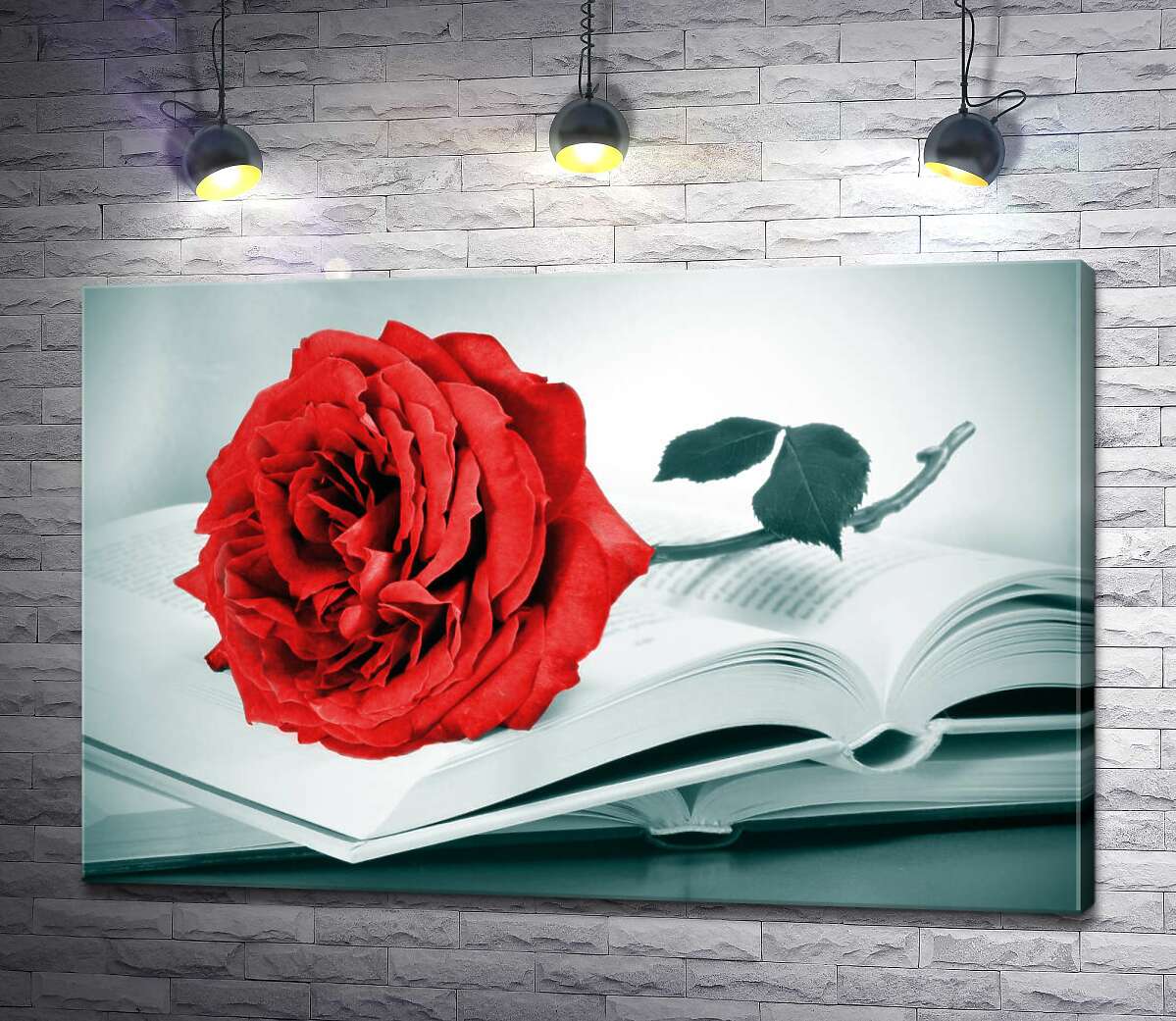 картина Рубіново-червона троянда лежить на тонких сторінках книги