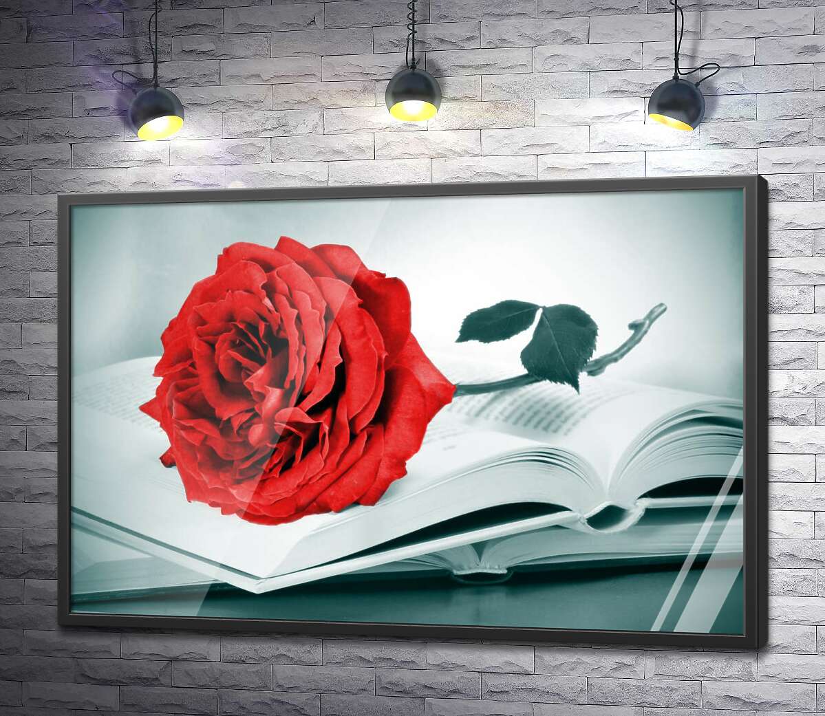 постер Рубиново-красная роза лежит на тонких страницах книги